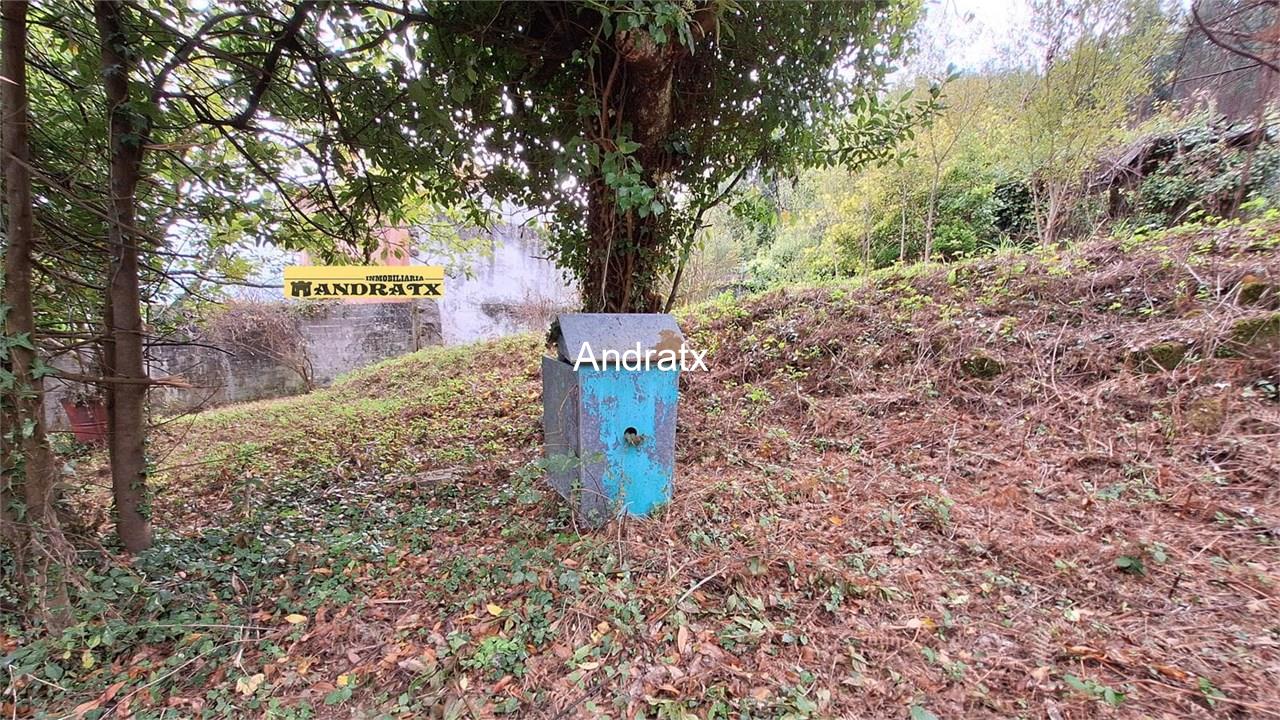 Foto 5 9099 Finca edificable con casa y garaje a 5 minutos del centro de Ferrol