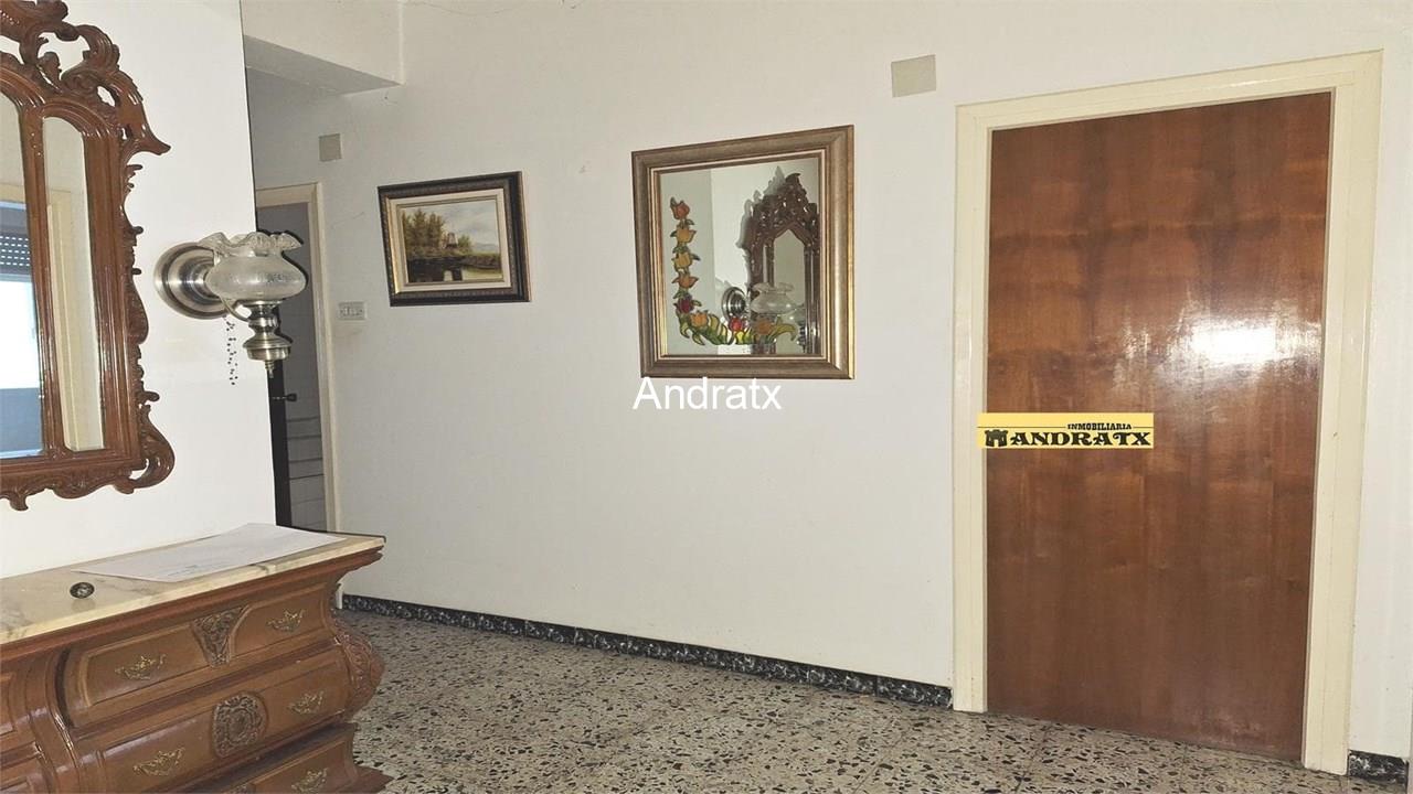 Foto 11 9103 Piso con terraza cubierta