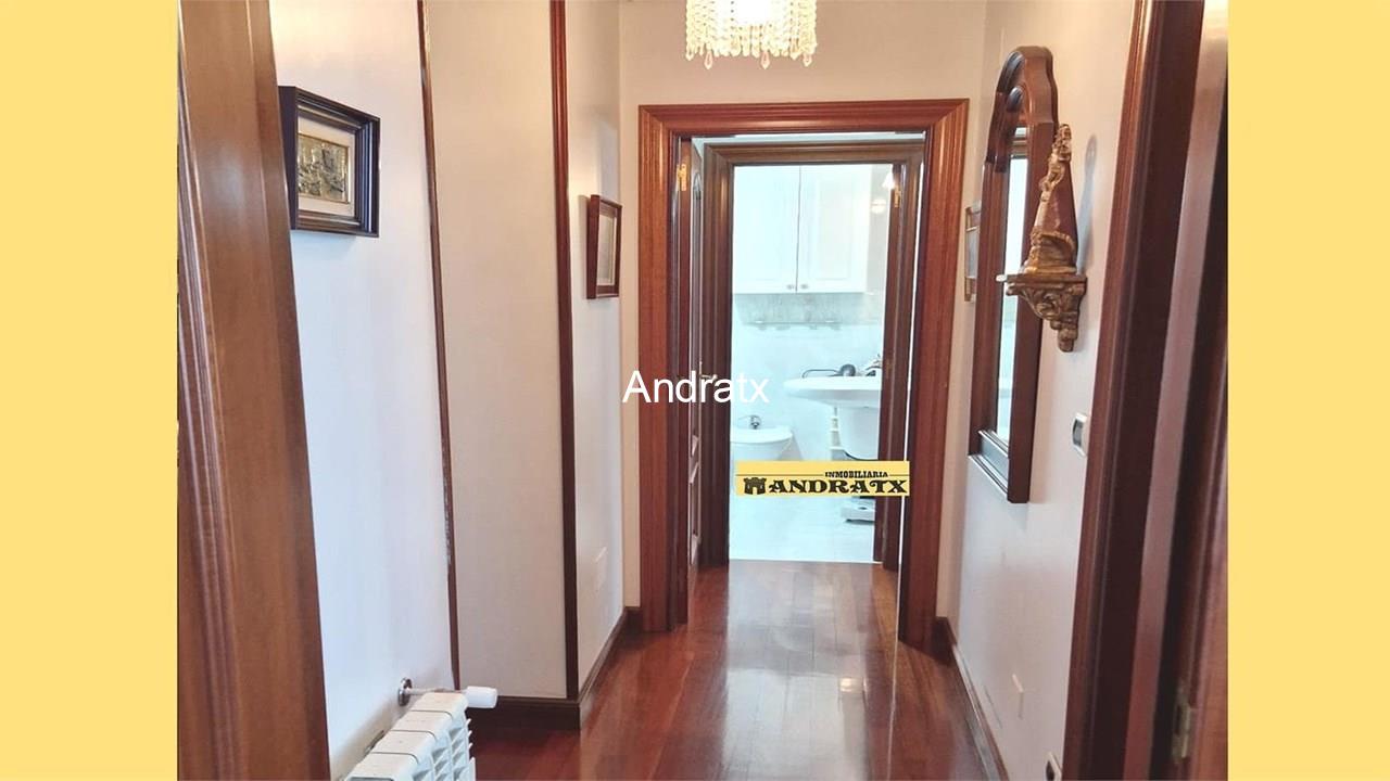 Foto 11 9116 Piso zona Plaza de España